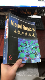 Visual Basic 6 高级开发指南