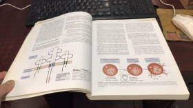 CELLULAR and MOLECULAR IMMUNOLOGY (EDITION 6)