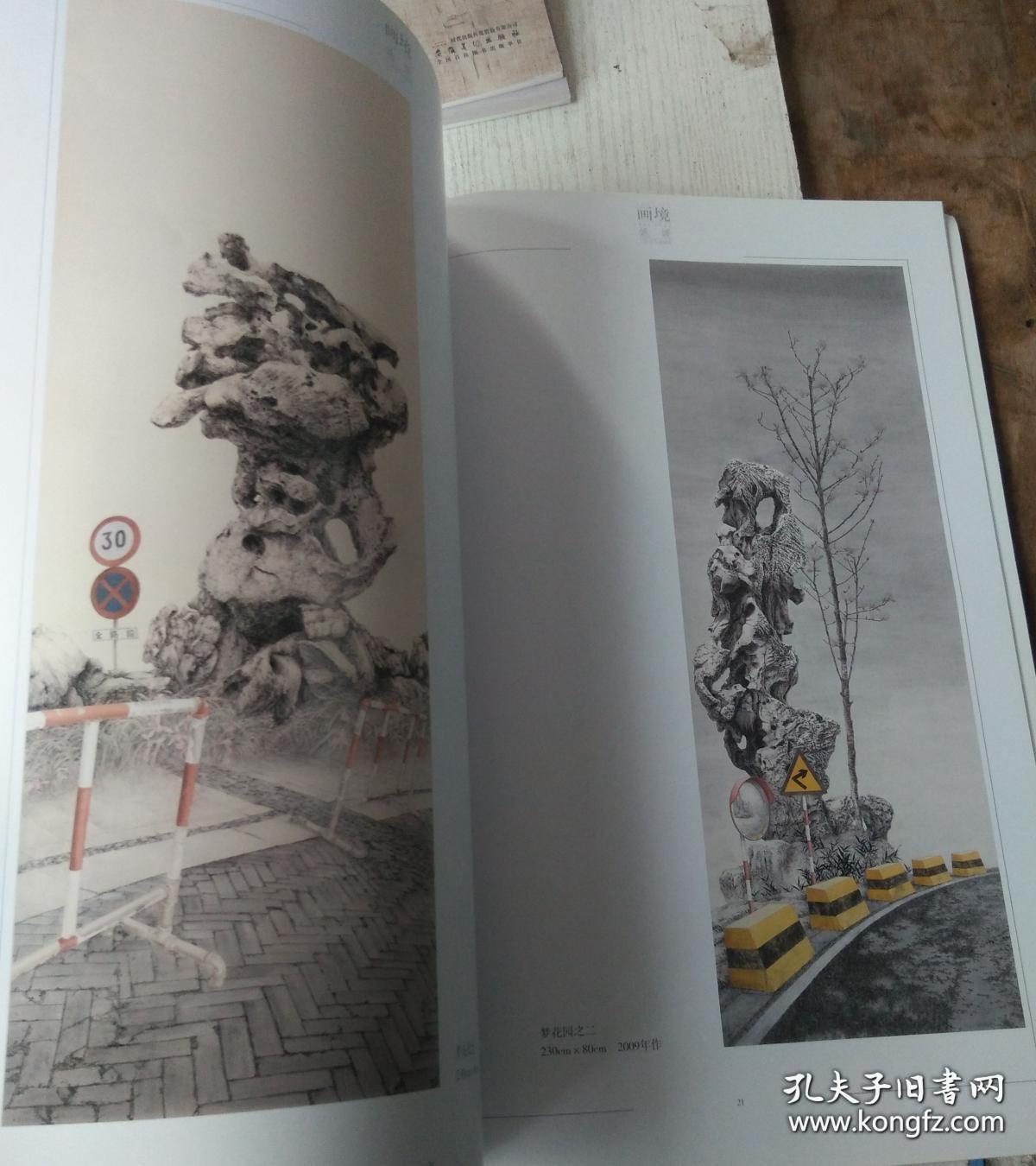 姚媛工笔花鸟画选、画集、作品集