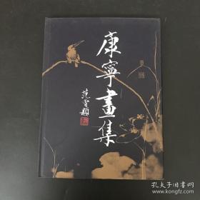 康宁(名家画集，现货速发)