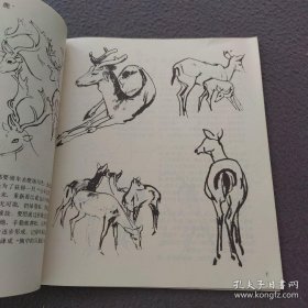 画鹿技法作品集、画选、画集、画辑