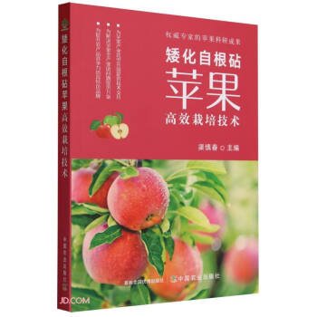 矮化自根砧苹果高效栽培技术