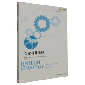 汇添富·世界资本经典译丛：金融科技策略