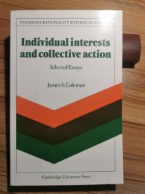 Individual Interests And Collective Action