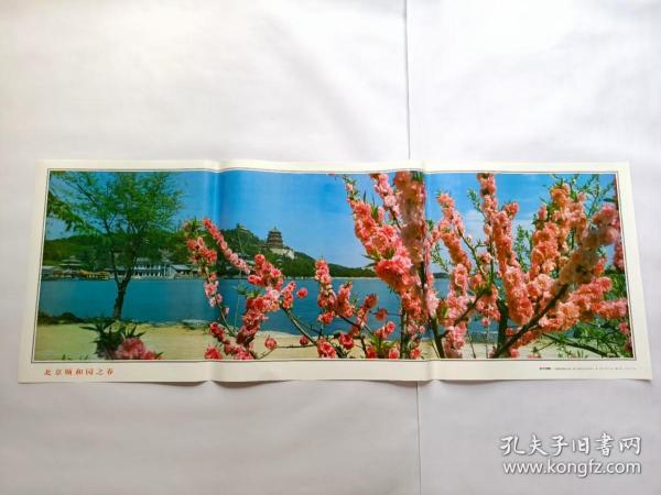90年代《颐和园之春》颐和园山水画风景画照片墙贴海报墙画壁画风水画生财画客厅包老李捷