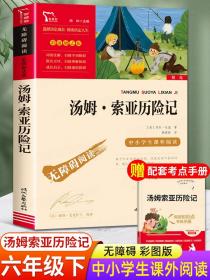 汤姆索亚历险记六年级下册必读的课外书正版经典书书目 快乐读书吧小学6年级课外阅读书籍四五马克吐温非人民文学教育出版社英文版