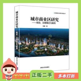 二手书城市商业区研究——规划、治理模式与案例区域规划与城市治