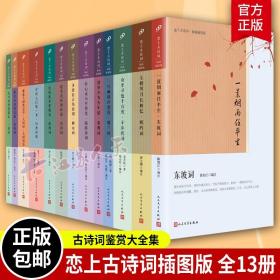 恋上古诗词插图版全13册 婉约词豪放词 花间诗柳永词纳兰词东坡词辛弃疾词陆游诗词 古诗词大全集古诗词鉴赏古诗词书籍