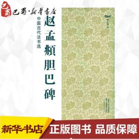 赵孟頫胆巴碑 魏文源  著 书法/篆刻/字帖书籍艺术 新华书店正版图书籍 江苏美术出版社