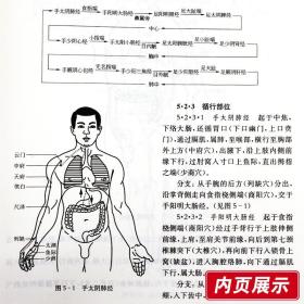 送黄帝内经 中医基础理论经典第五版上海科技出版社高等医药院校供针灸 书专业用高校本科考研教材推荐书籍大全