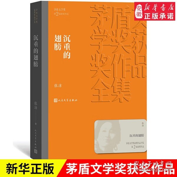 茅盾文学奖获奖作品全集：沉重的翅膀