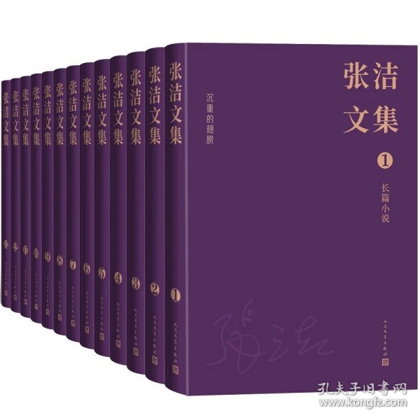 张洁文集（全13卷）