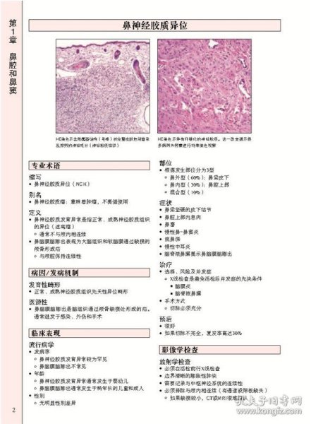 头颈诊断病理学