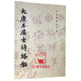 大唐王居士砖塔铭 历代碑帖法书选 文物出版社  毛笔书法碑帖临摹练字临习字帖