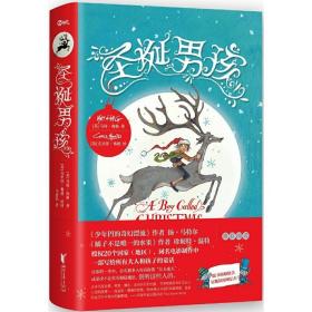 【 满48】圣诞男孩（精装）马特海格著外国儿童插图童话小说书籍