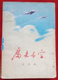 鹰击长空（【文】【革】长篇小说插图本）★王忠瑜 著  甘 露装帧插图★1977年8月1版1印