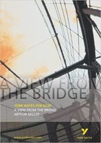 英文原版书 A View from the Bridge Arthur Miller (York Notes for Gcse) Shay Daly  | 2002-08出版