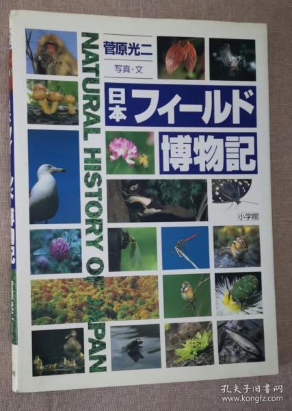 日文原版书 日本フィールド博物記 大型本 – 1997/4 菅原光二 日本田野野外 野生鸟类，昆虫，哺乳动物，两栖类，小动物如爬行动物，蔬菜，野生植物，树木，蘑菇 自然写真図鑑 彩色照片