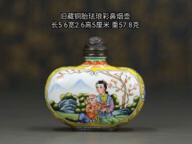 铜胎珐琅彩鼻烟壶，v