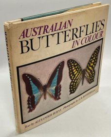 英文版 Australian Butterflies in Colour 澳大利亚的彩色蝴蝶  1969年