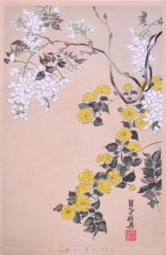 琳派百华谱  春之卷  始兴笔: 白藤、八重山吹 48*35cm 1929年   竹下弘编 【XD05】