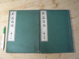 珍花图谱  上下 2冊、山名友石 著、 1905年 【XD107】