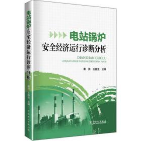 电站锅炉安全经济运行诊断分析、