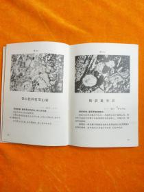 江苏火山岩结构图册