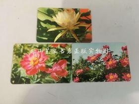 中国轻工业品进出口公司山东省工艺品分公司1975年年历片  花卉3张：芍药、芍药、令箭荷花（黄）