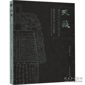 天籁：湖北出土的早期乐器【硬精装未拆封正版图书 现货寄送】北库