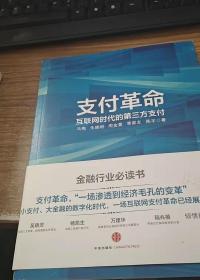 支付革命：互联网时代的第三方支付