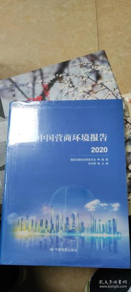 中国营商环境报告2020