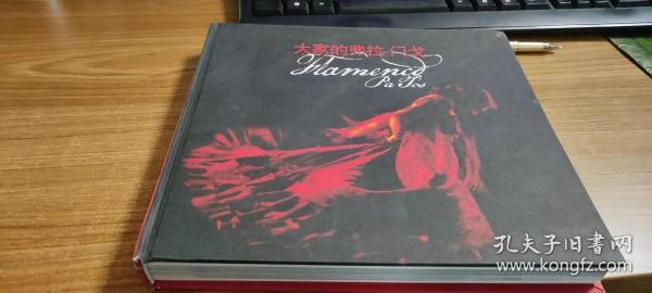 大家的弗拉门戈