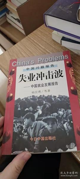 失业冲击波:中国就业发展报告