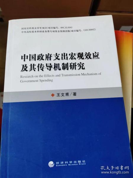 中国政府支出宏观效应及其传导机制研究