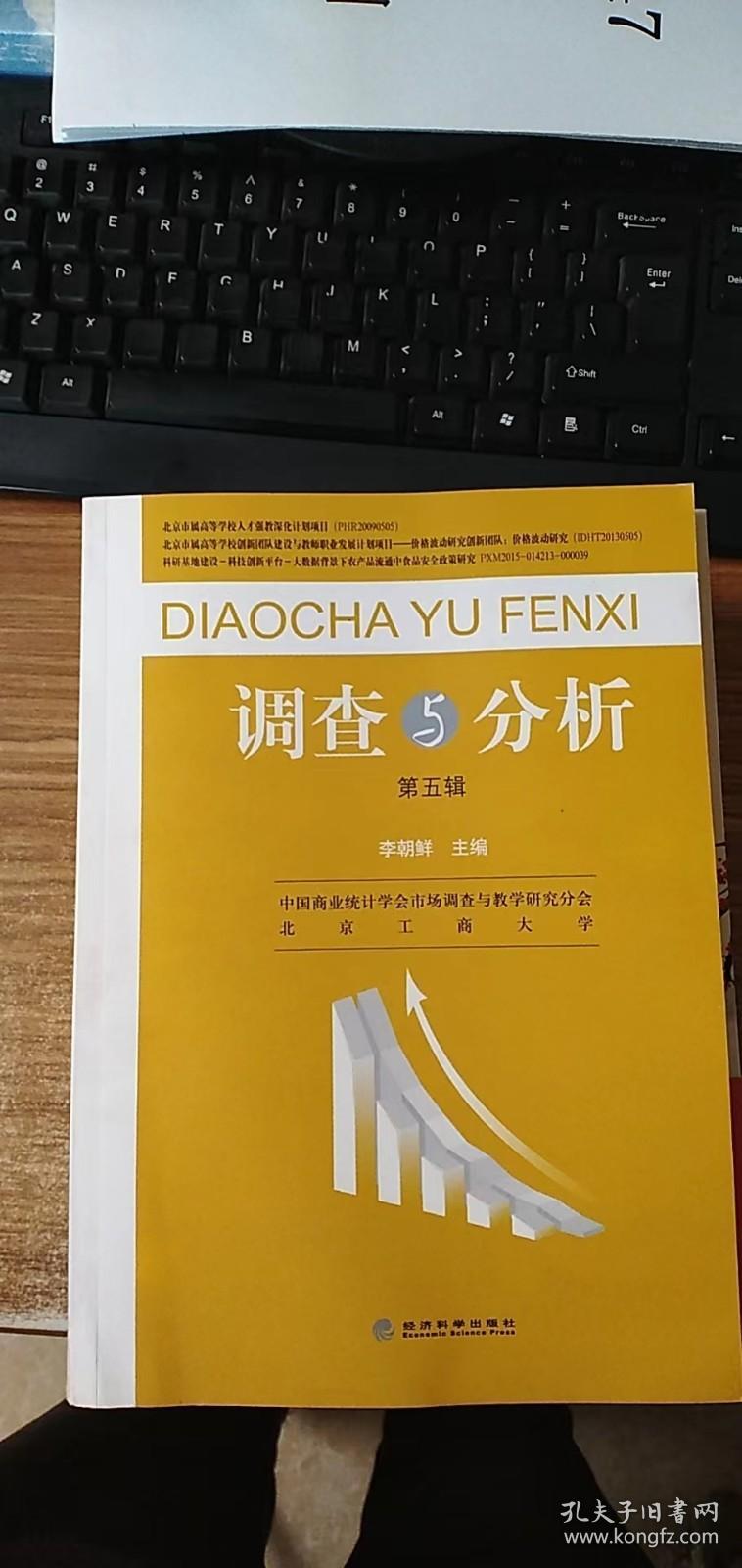 调查与分析（第五辑）