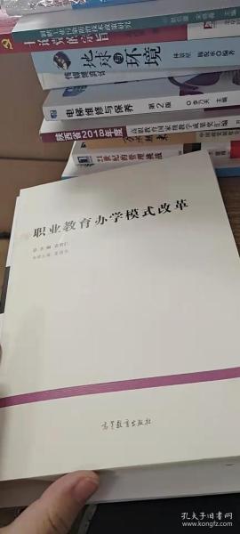 典型经验系列·中国教育改革发展丛书：职业教育办学模式改革