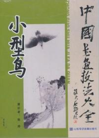 中国书画技法大全 小型鸟 1DVD 光盘视频 陈涛 视频 边演示边讲解 由简到繁