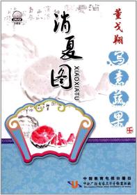 董戈翔写意蔬果 消夏图 DVD 国画教学视频