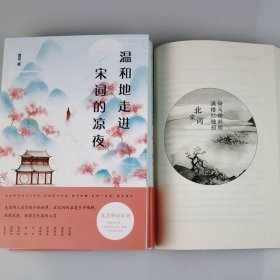 温和地走进宋词的凉夜 的书中国语文系列中国诗词大会散文随