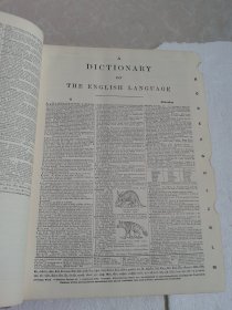 韦氏新国际词典  Webster's New International Dictionary