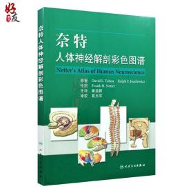 奈特人体神经解剖图谱 崔益群主译 人民卫生出版社神经解剖解剖学图谱人体解剖书医学解剖图谱 奈特人体解剖彩色图谱9787117078962