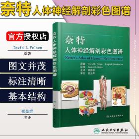 正版 奈特人体神经解剖彩色图谱 崔益群 人体解剖书 医学解剖教程 神经内科学参考工具书籍 人民卫生出版社9787117078962