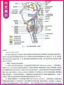 现货正版 神经病学  8版人民卫生 八版十三五规划西医本科临床教材基础预防口腔医学专业 9版神经病学 九版新教材贾建平崔丽英