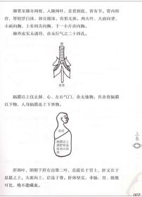 医林改错（中医临床实用经典丛书大字版）