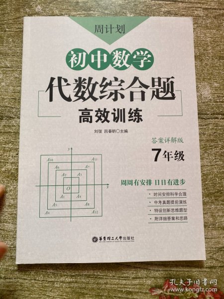 周计划：初中数学代数综合题高效训练（7年级）