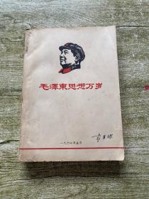 毛泽东思想万岁 1967.5