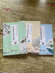 中考语文必备手册 全3册