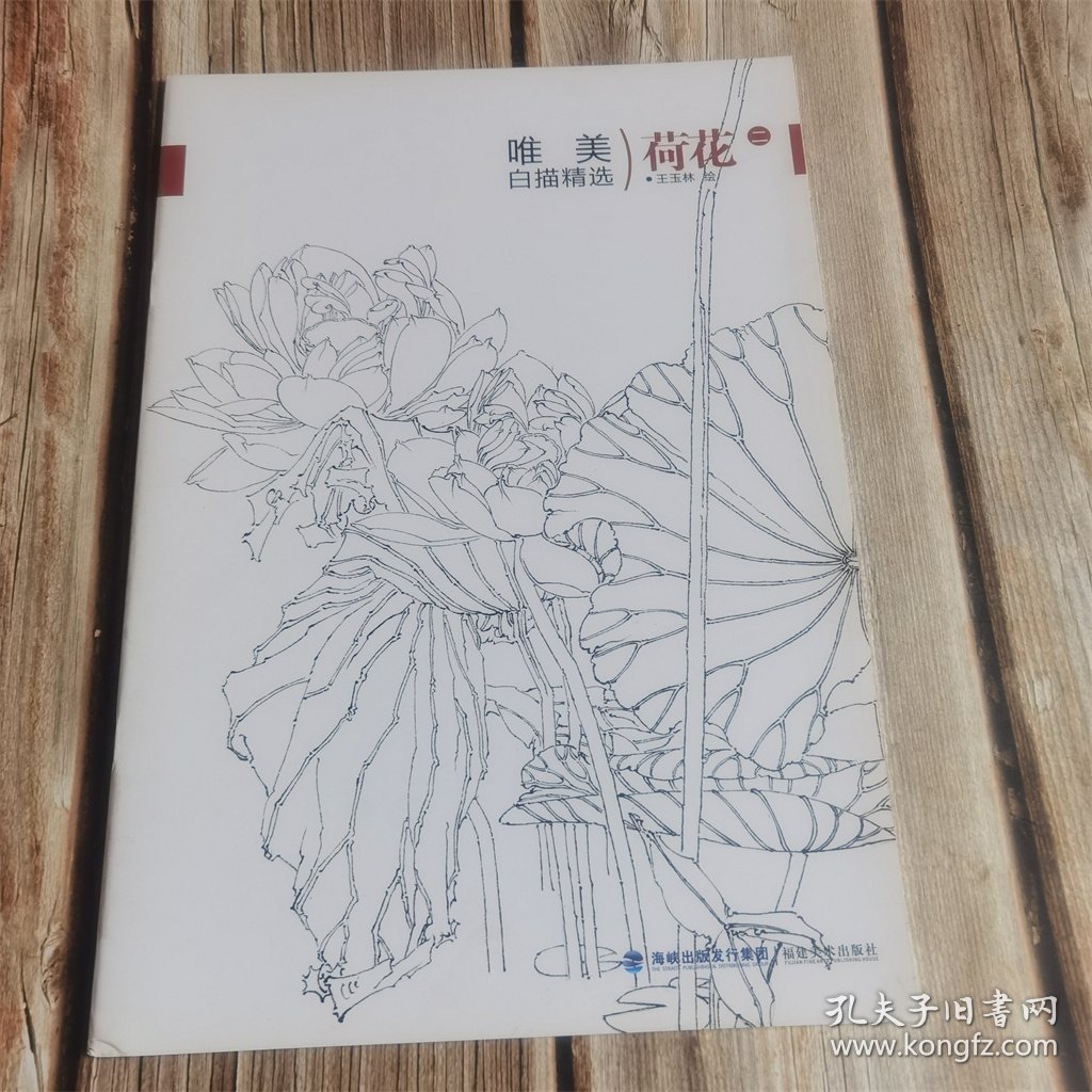 唯美白描精选 荷花二