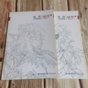 唯美白描精选牡丹（一二）